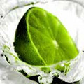 TamTamSensus