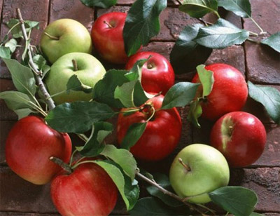 Jedna jabuka dnevno za dobro zdravlje