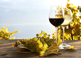 Vino – hrana za dušu i tijelo